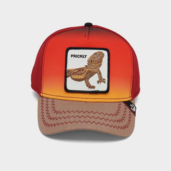 Goorin Bros. Dust Devil Trucker Hat