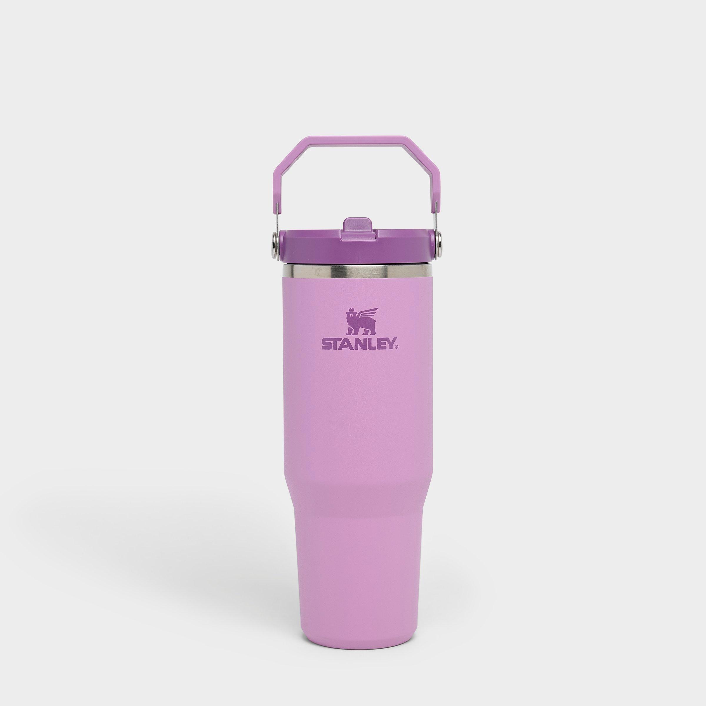 Stanley IceFlow Flip Straw Tumbler (30 oz.) | Finish Line