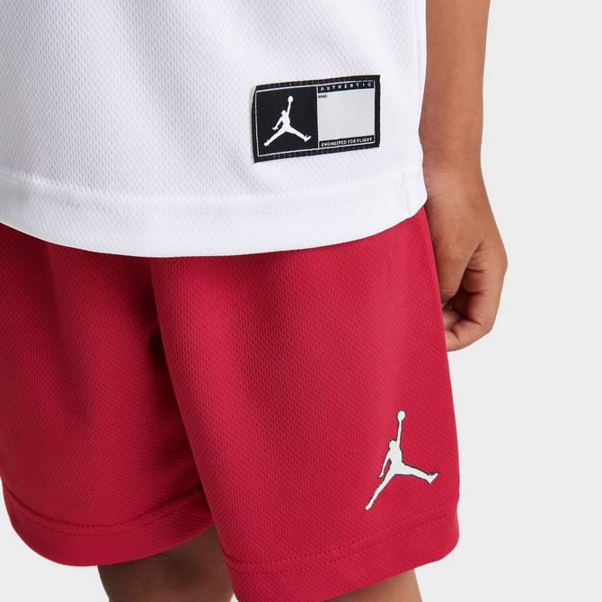 Jordan Jumpman Men's Graphic Knit Shorts