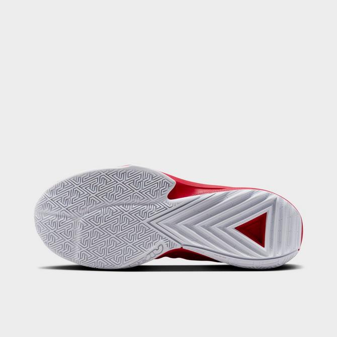 Nike Zoom Freak 5 Team Basketball Shoes Finish Line