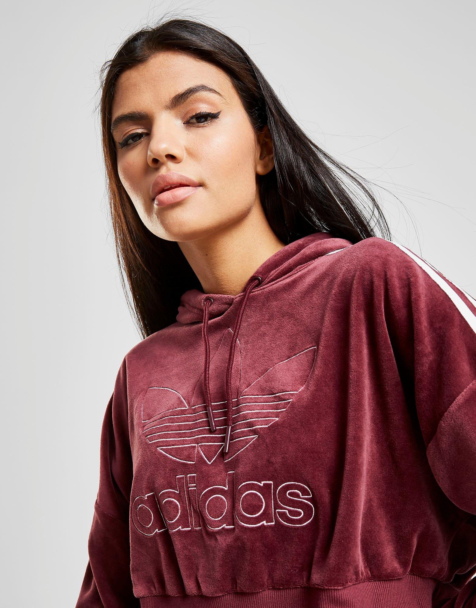 adidas velvet hoodie women's