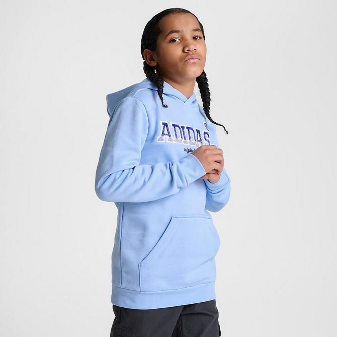 Adidas hoodie clear discount sky