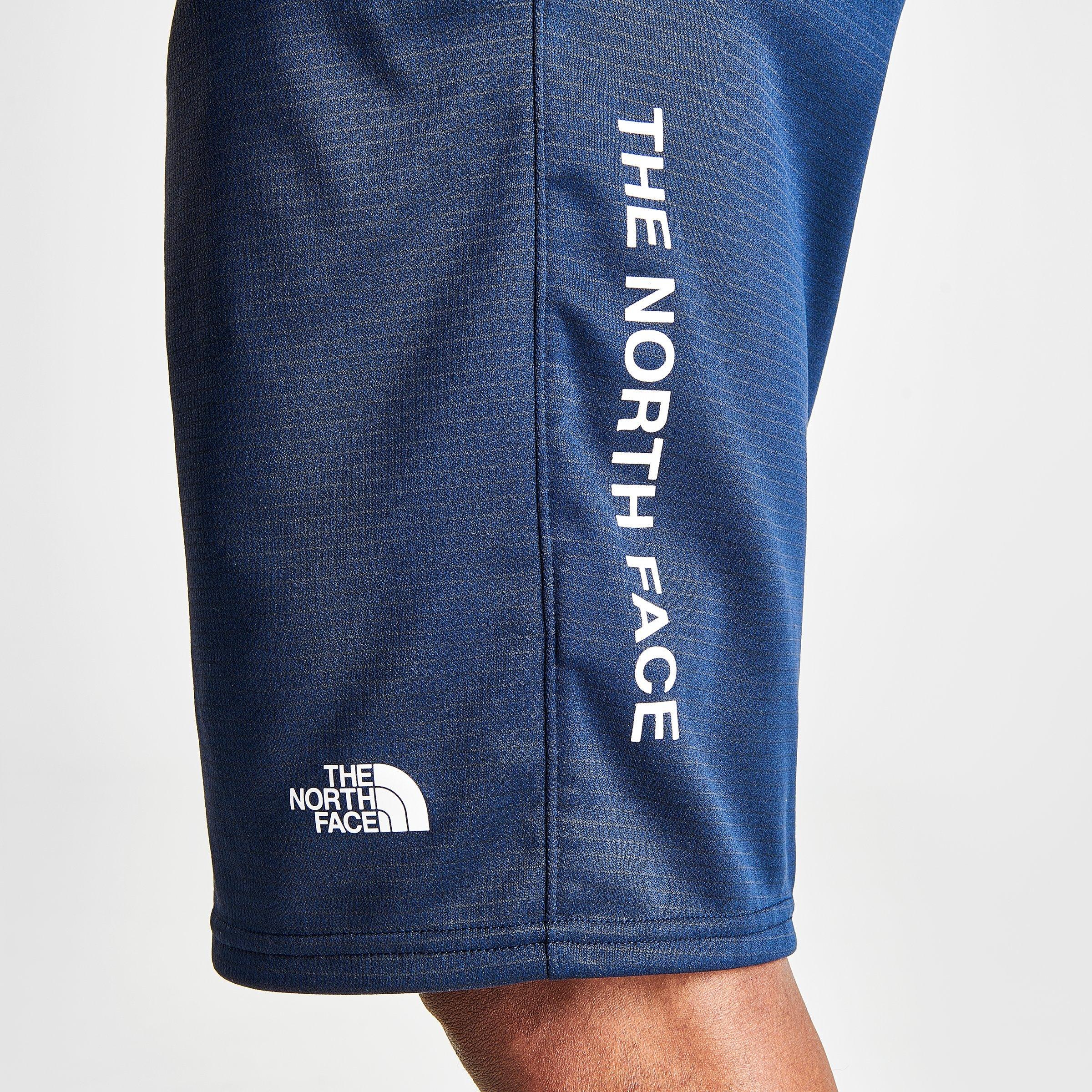 the north face fleece shorts