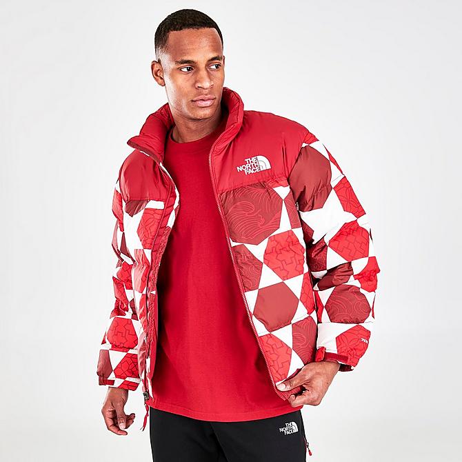 Back Left view of Men's The North Face 1996 Retro Nuptse Printed Jacket Click to zoom