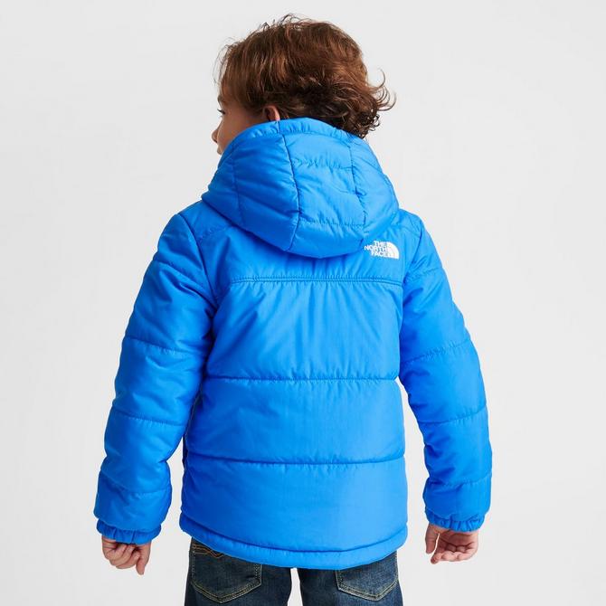 North face outlet toddler moondoggy jacket