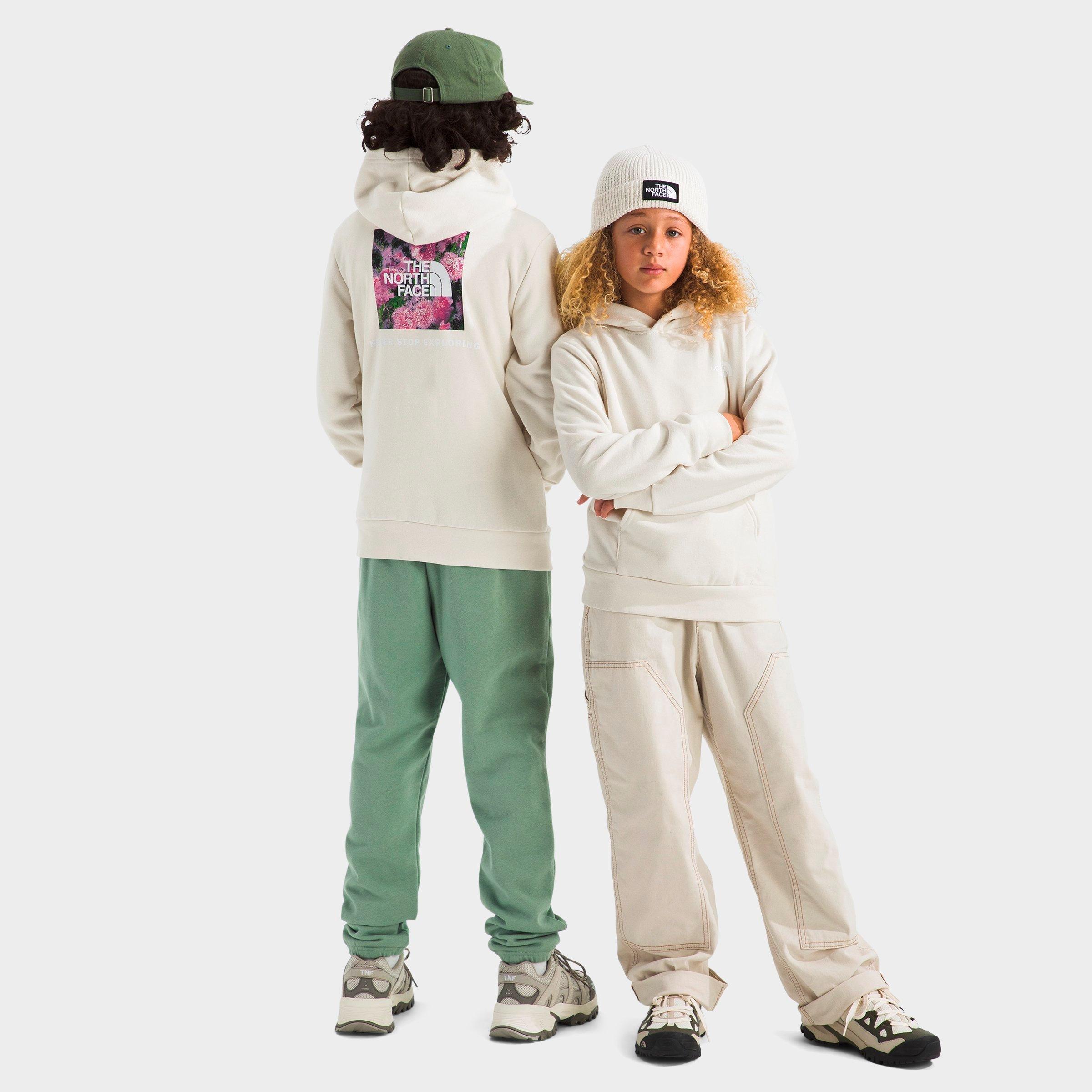 Big Kids' The North Face Evolution Box NSE Graphic Pullover Hoodie