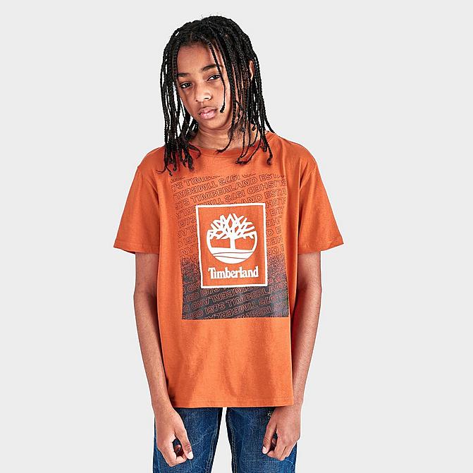 Front view of Boys' Timberland Box Logo T-Shirt in Burnt Ochre Click to zoom