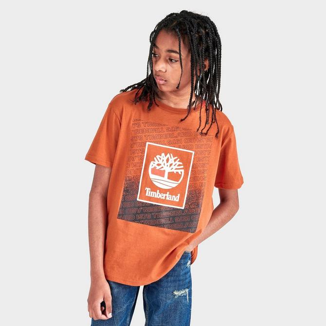 Back Left view of Boys' Timberland Box Logo T-Shirt in Burnt Ochre Click to zoom