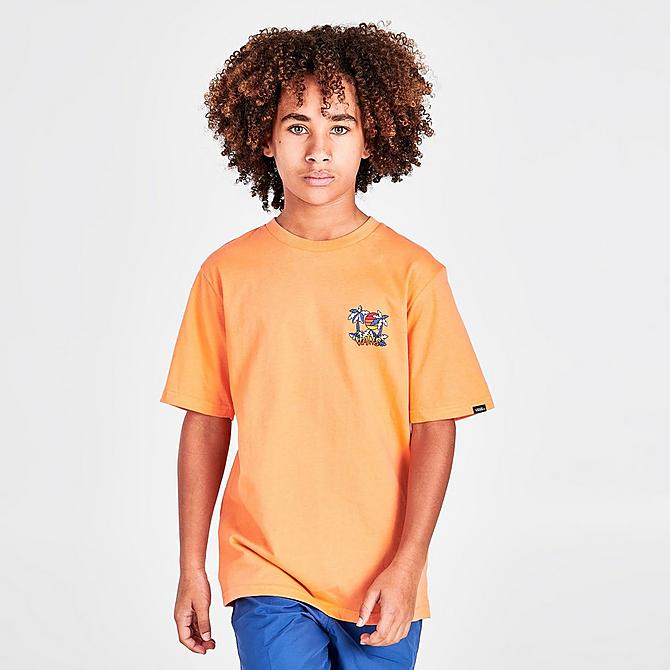 Back Left view of Kids' Vans Tiki Palms T-Shirt in Melon Click to zoom