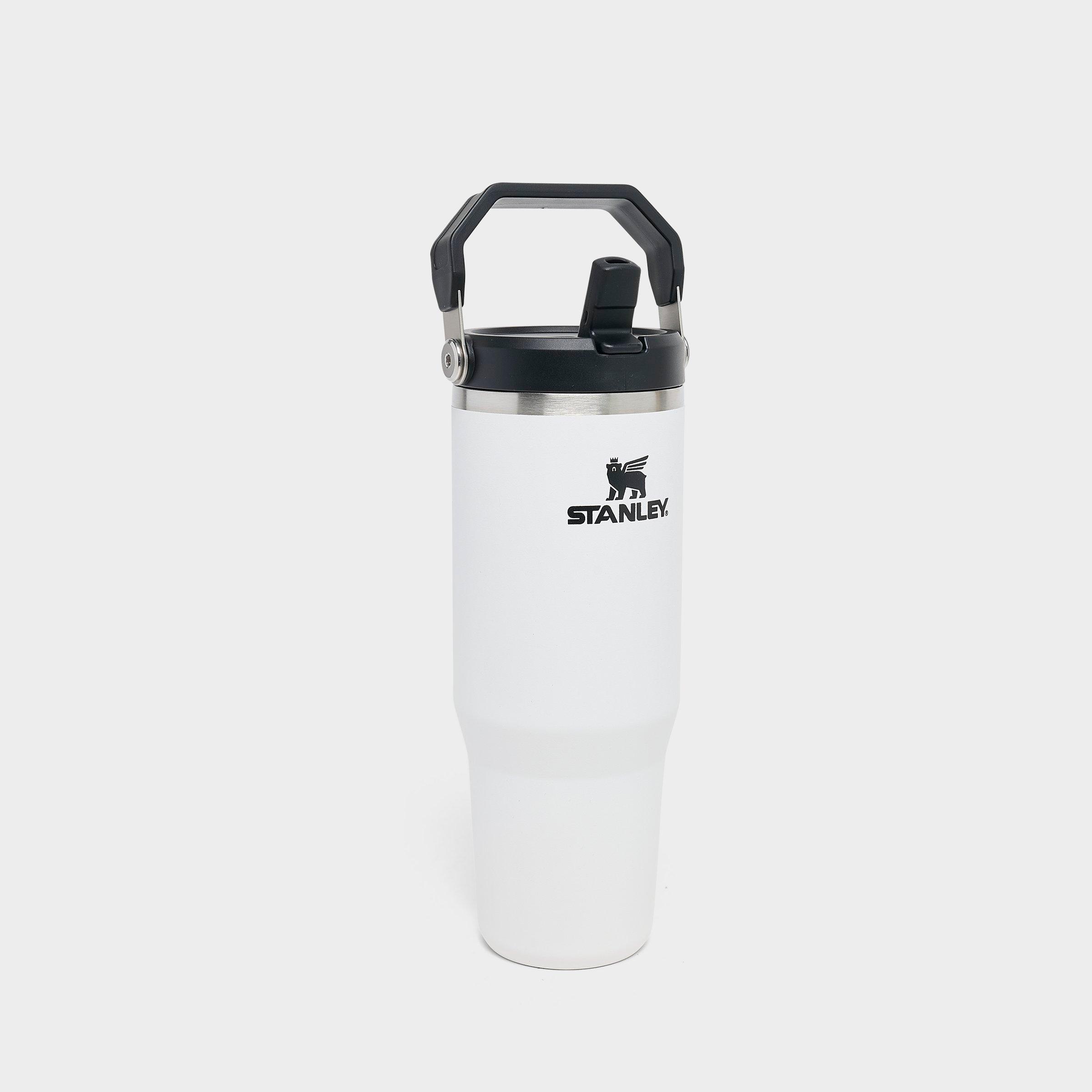 Stanley IceFlow Flip Straw Tumbler (30 oz.) in Chalk Size: NOSIZE