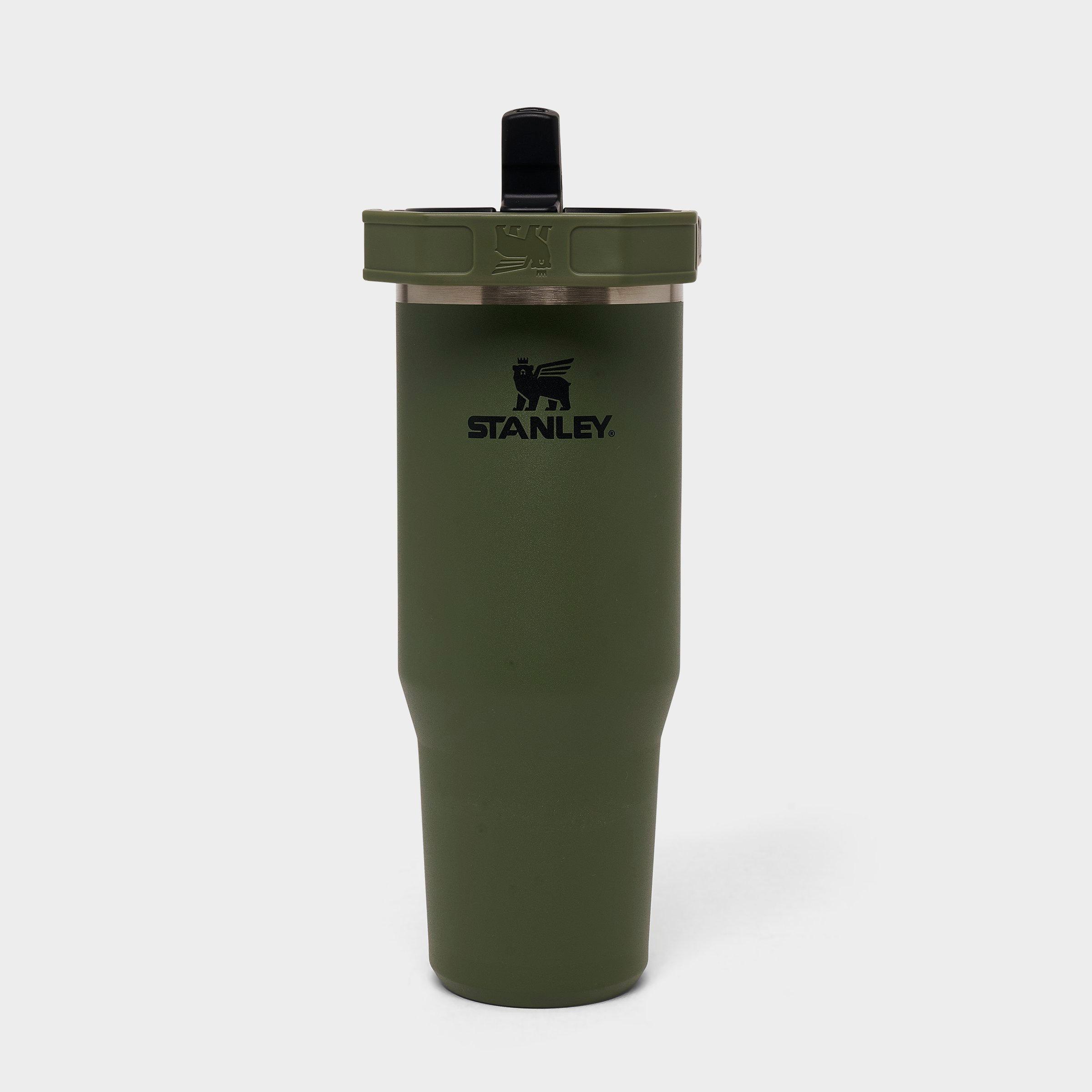 Stanley IceFlow Flip Straw Tumbler (30 oz.) in Dried Pine Size: NOSIZE