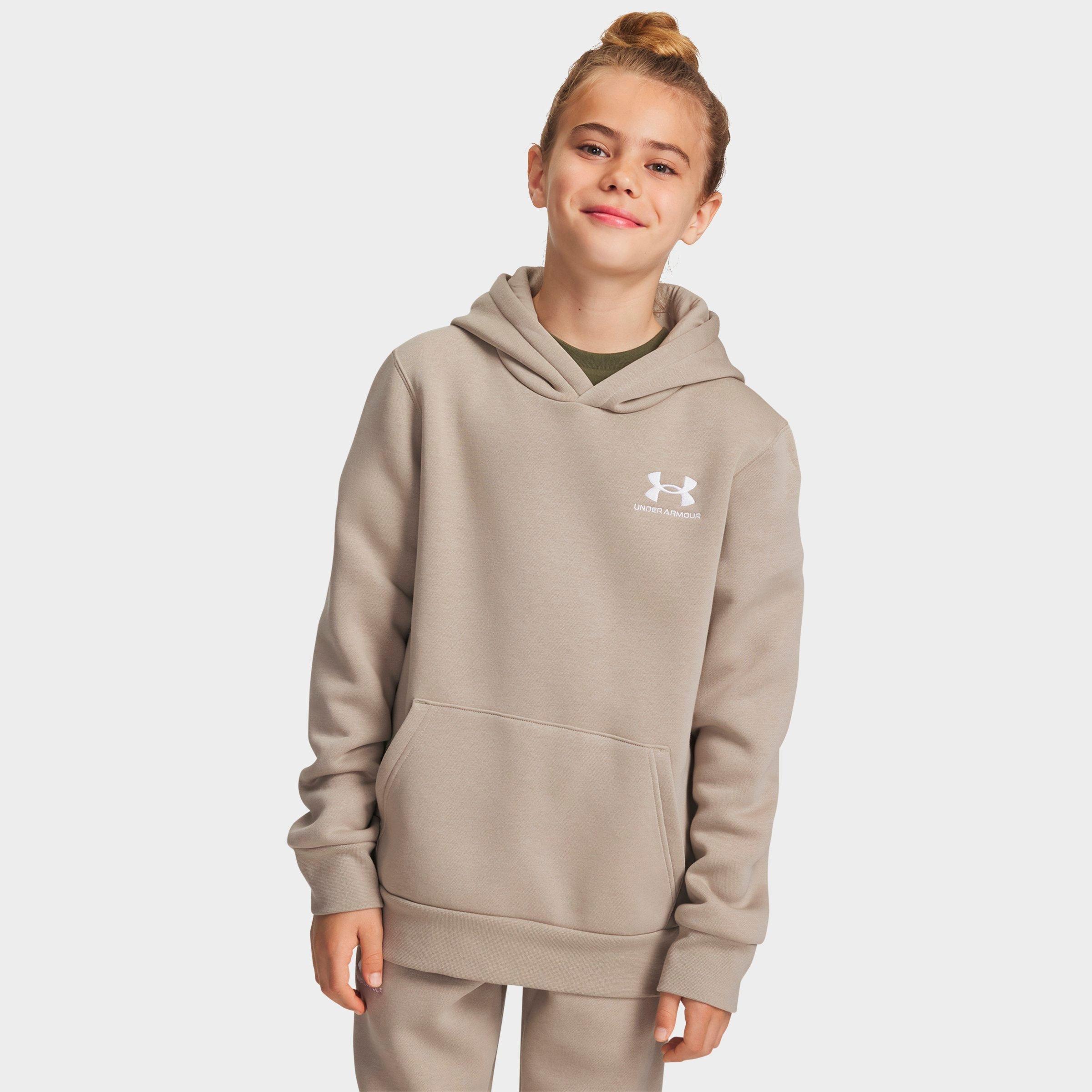 Underarmour Boys Big Kids Under Armour Icon Fleece Hoodie In Neutral