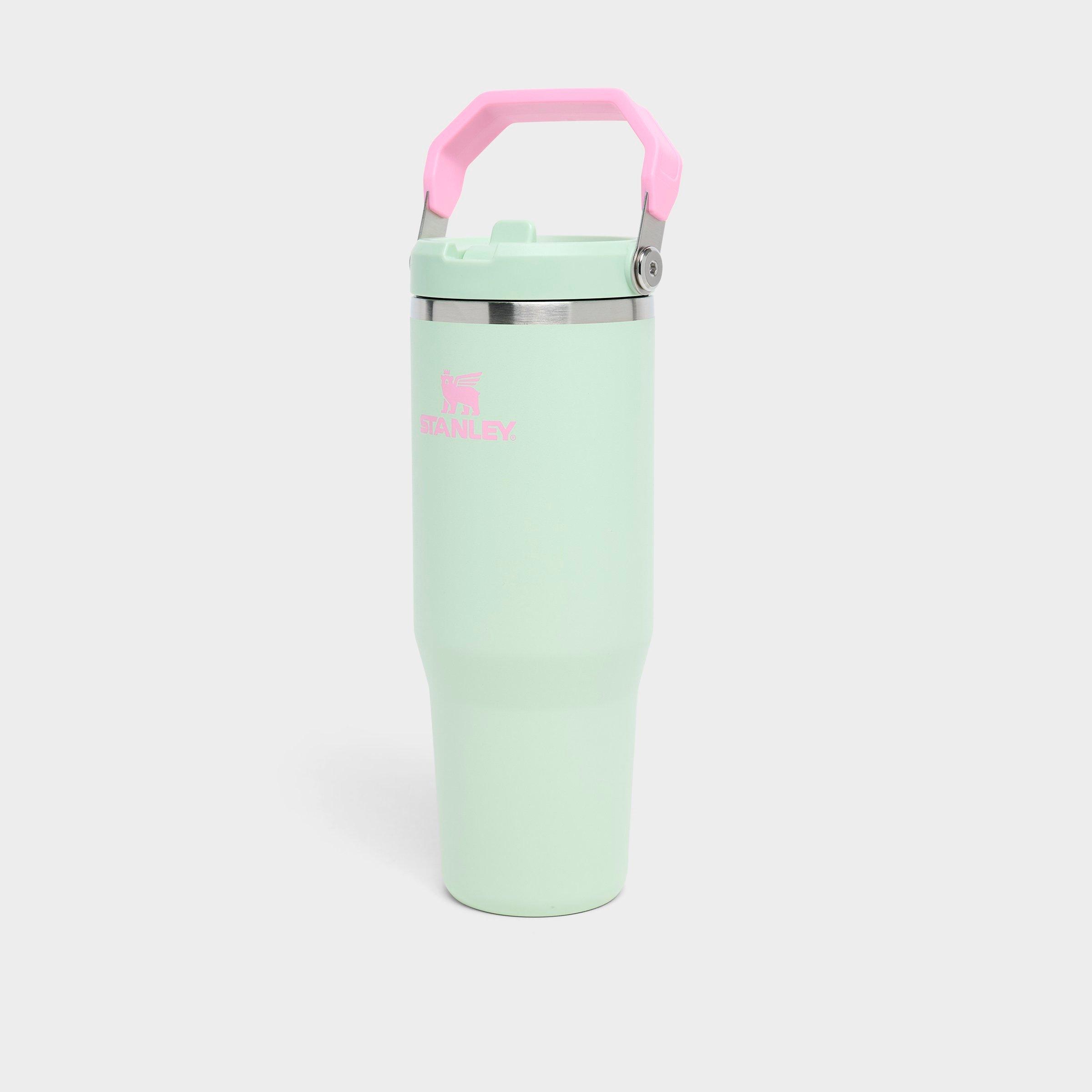Stanley IceFlow Flip Straw Tumbler (30 oz.) in Strawberry Matcha
