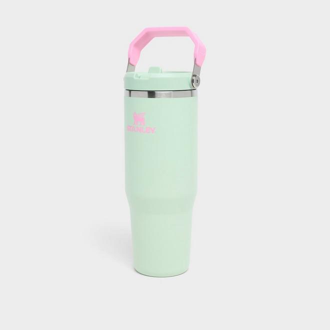 Stanley IceFlow Flip Straw Tumbler (30 oz.)