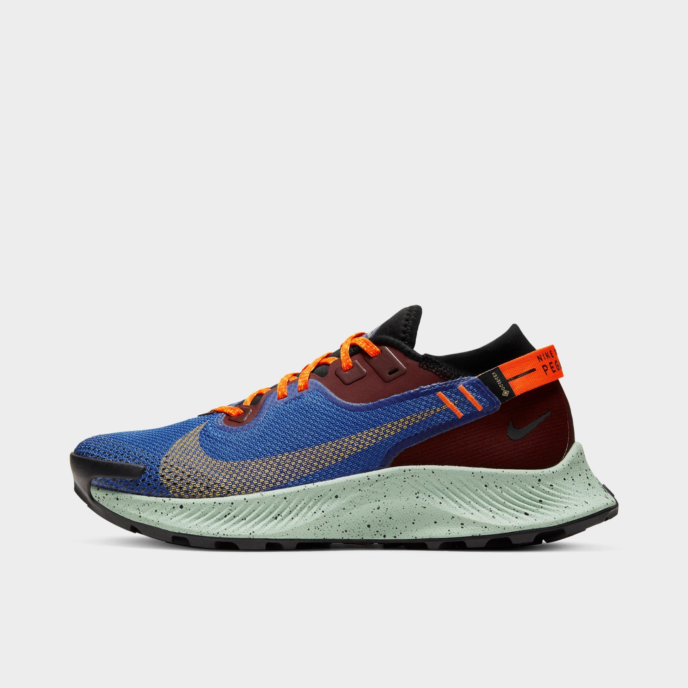finish line pegasus 35