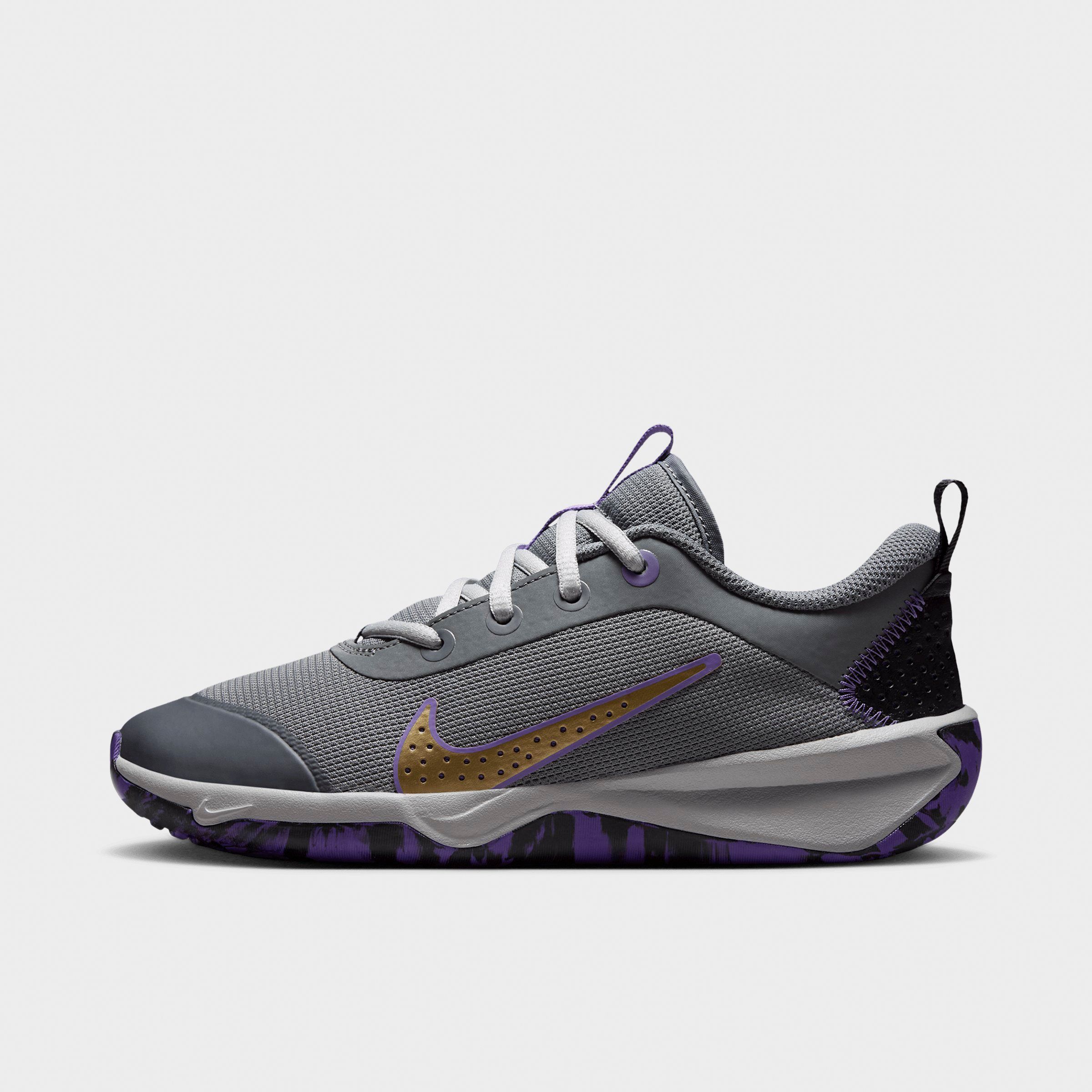Nike Big Kids Omni Multi-Court Casual Shoes