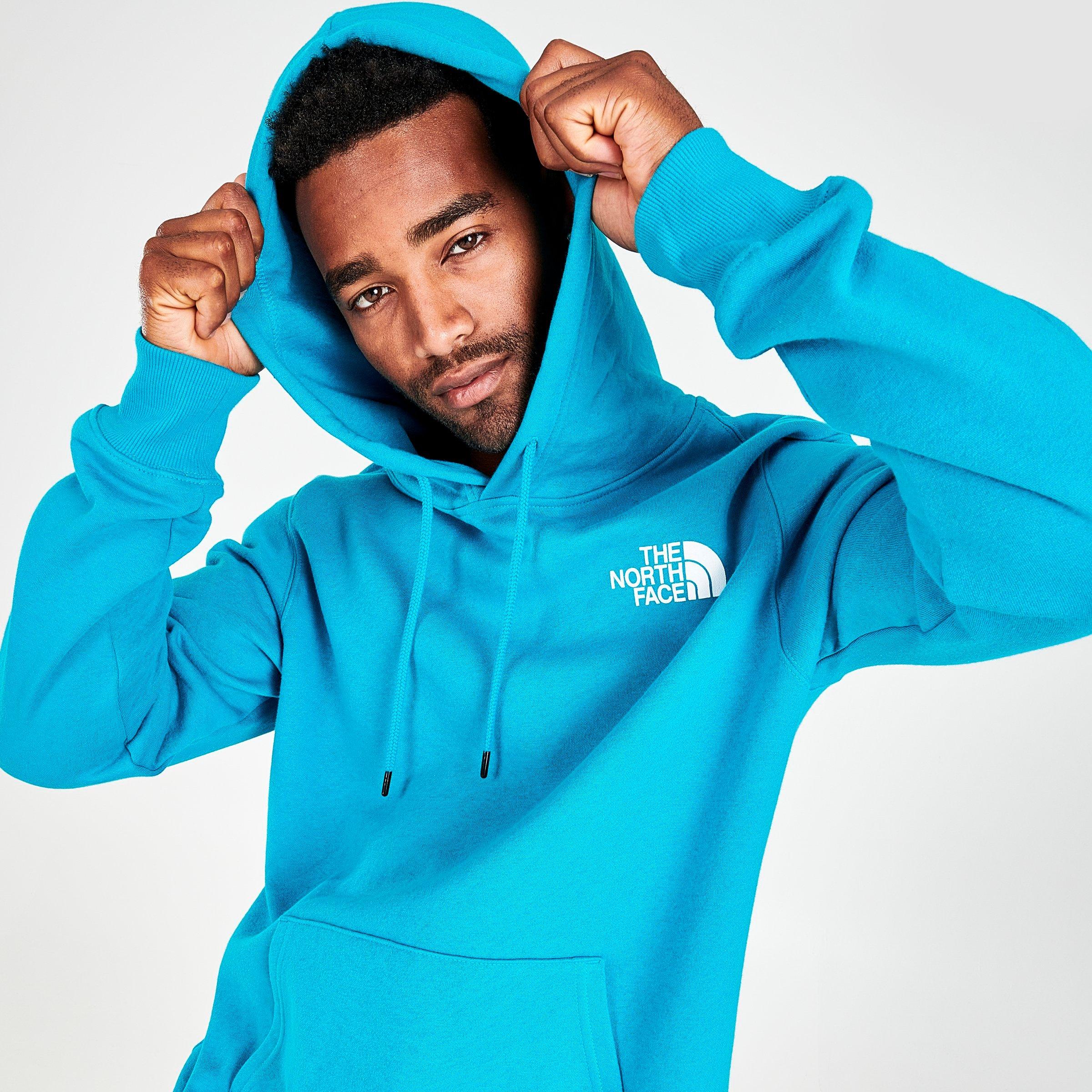 The north top face hoodie jd